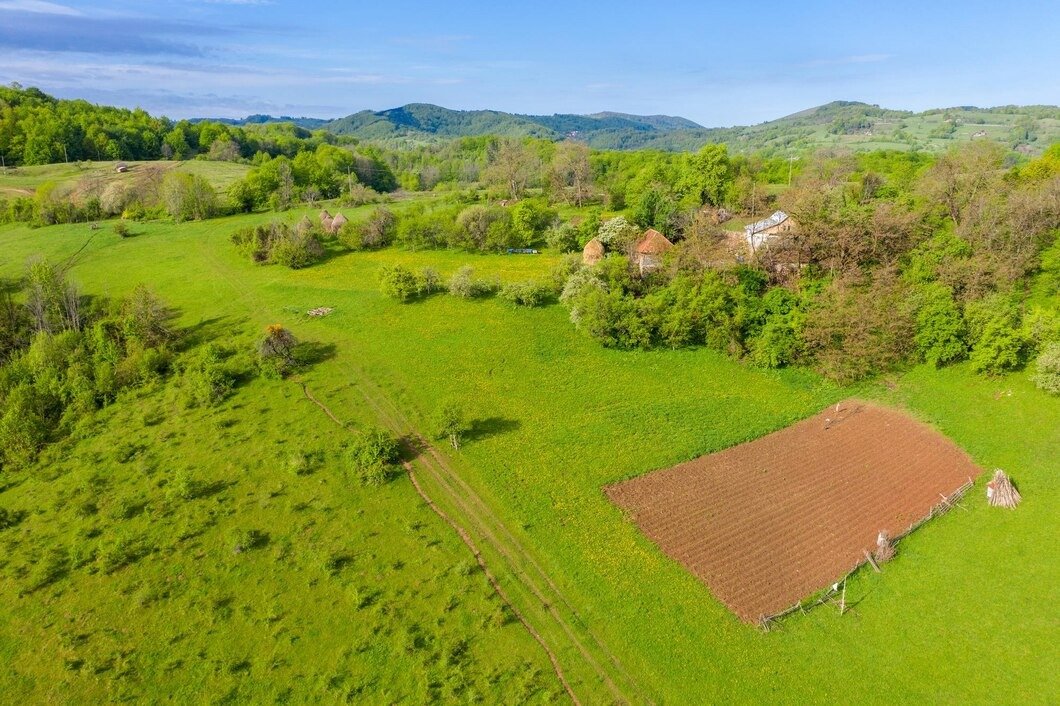 Inherited Vacant Land? Here’s What You Can Do With It (Even If You Don’t Want It)